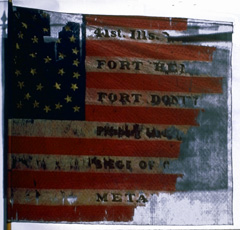 41st Illinois Infantry Civil War flag